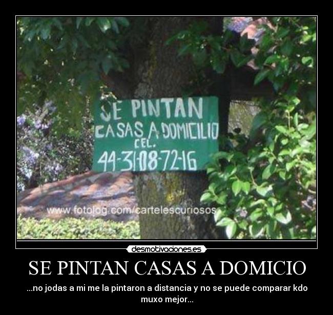 SE PINTAN CASAS A DOMICIO -