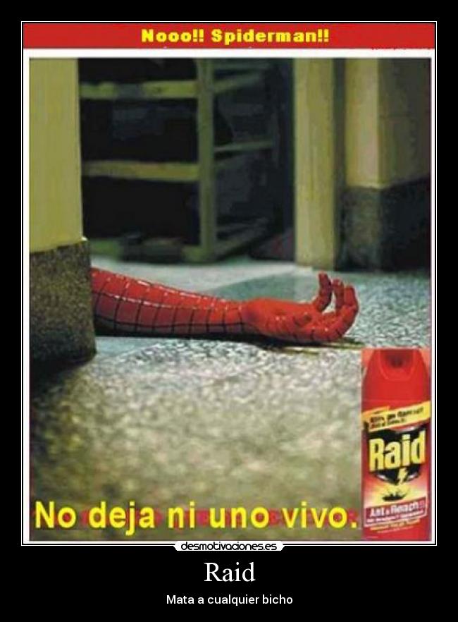 Raid -