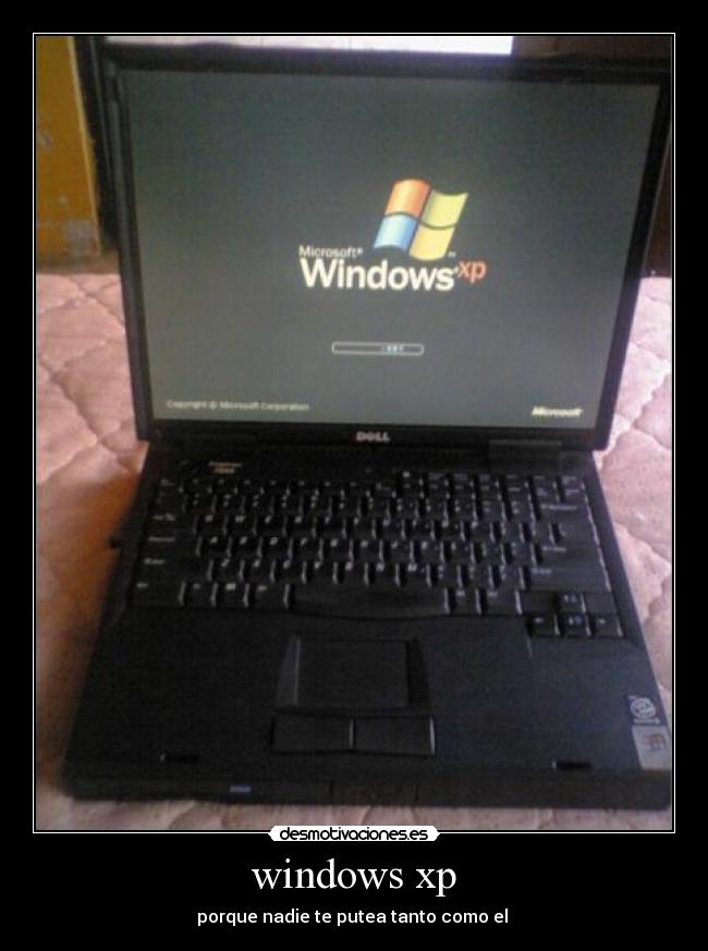 windows xp -