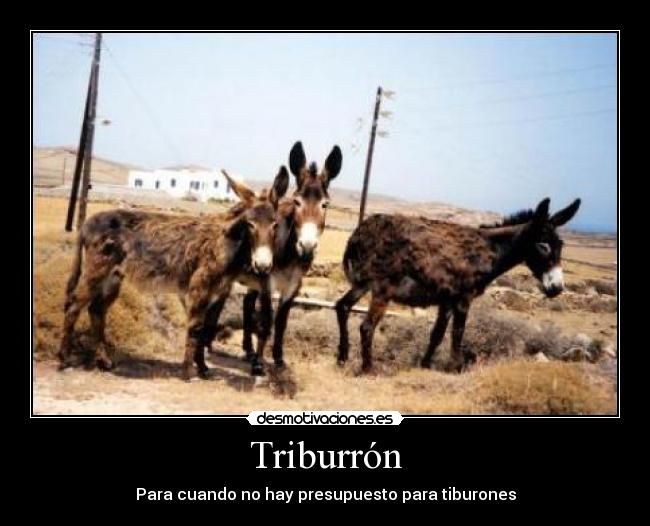 Triburrón -