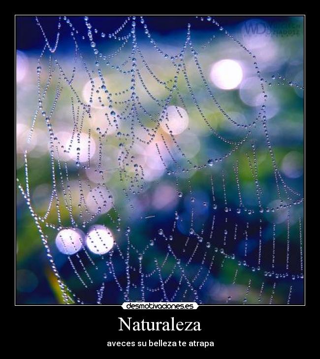 Naturaleza - 