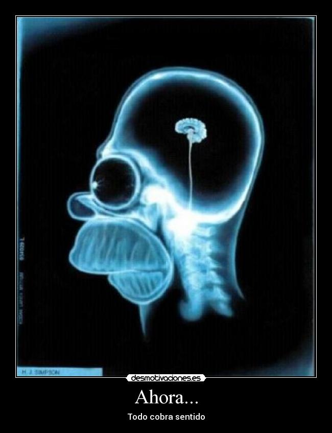 Ahora... - Todo cobra sentido