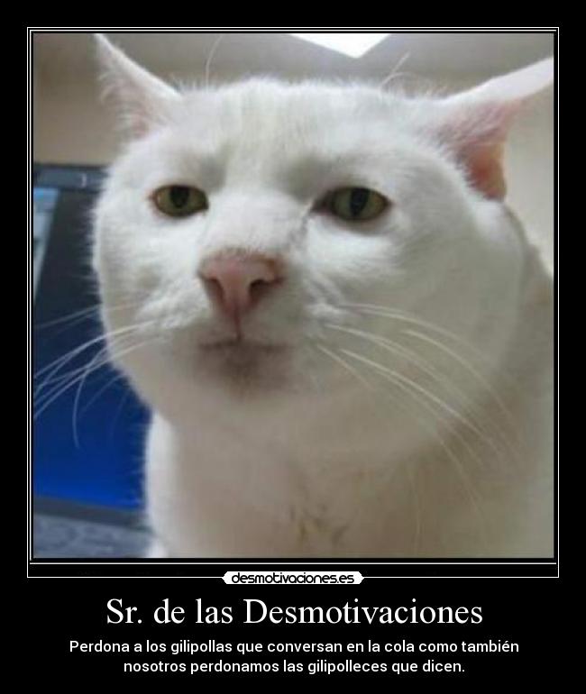 carteles desmotivaciones piedad perdon sr senor las desmotivaciones gilipollas gato desmotivaciones