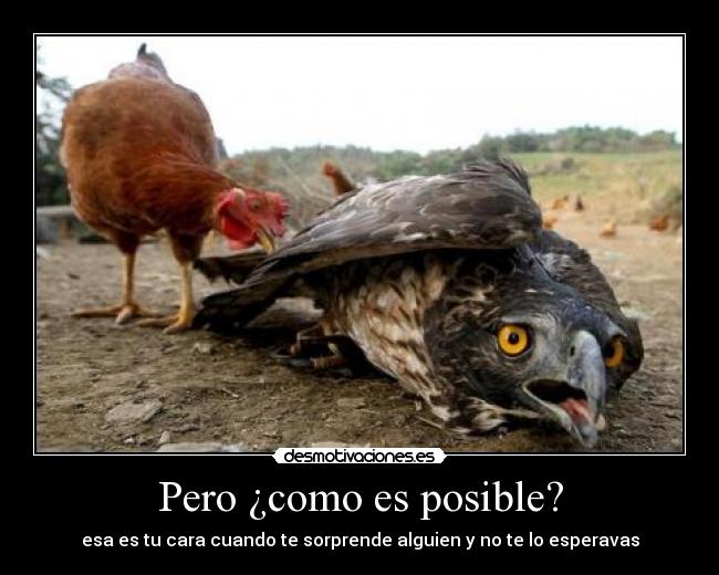 Pero ¿como es posible? - esa es tu cara cuando te sorprende alguien y no te lo esperavas