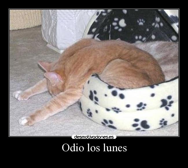 Odio los lunes -