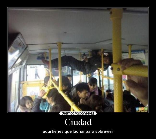 Ciudad - 
