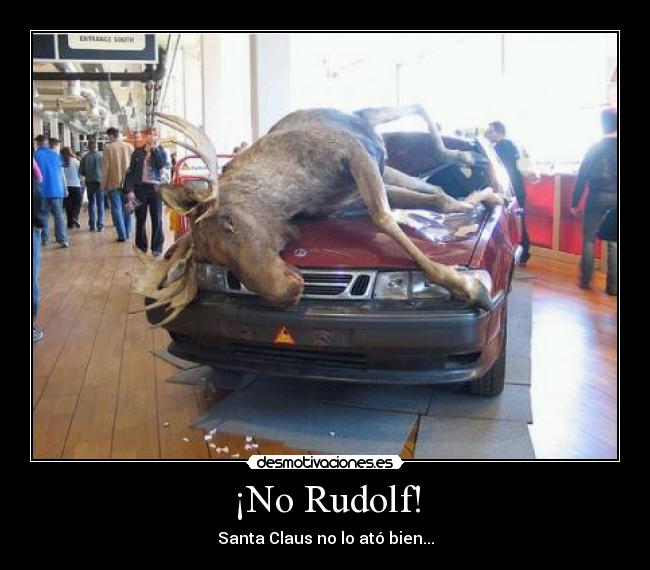 ¡No Rudolf! - 