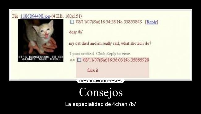 Consejos - La especialidad de 4chan /b/