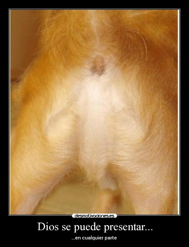 Dios se puede presentar... -