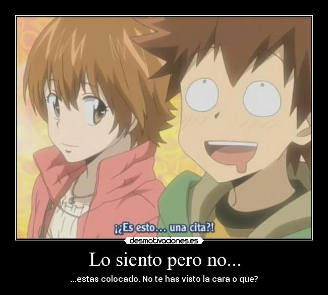 Lo siento pero no... - ...estas colocado. No te has visto la cara o que?