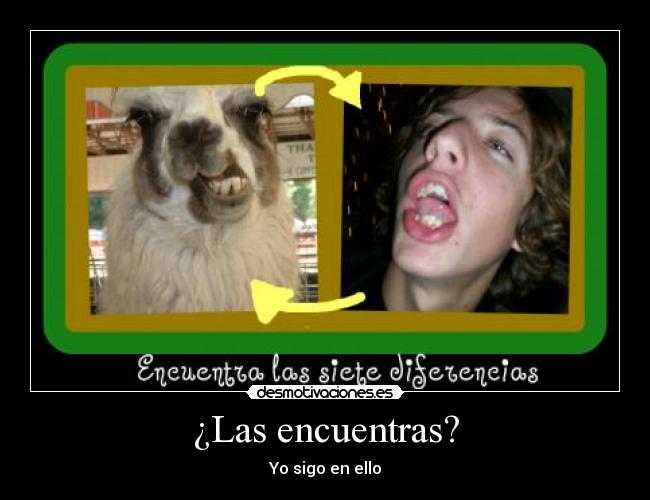 ¿Las encuentras? - 