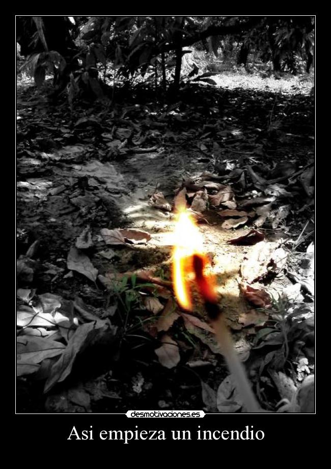 carteles  desmotivaciones