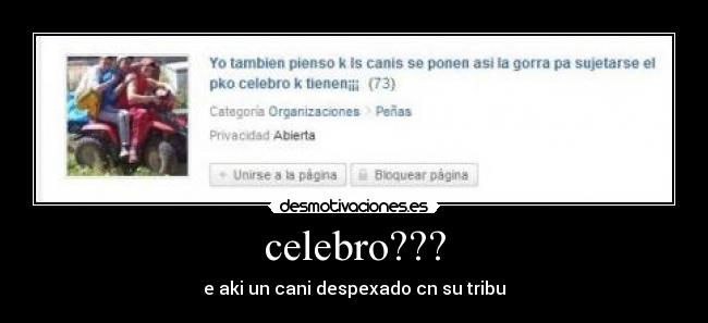 celebro??? -
