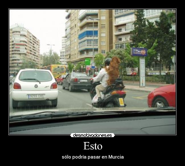 carteles  desmotivaciones