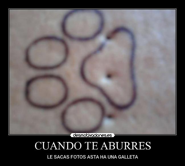 CUANDO TE ABURRES - LE SACAS FOTOS ASTA HA UNA GALLETA