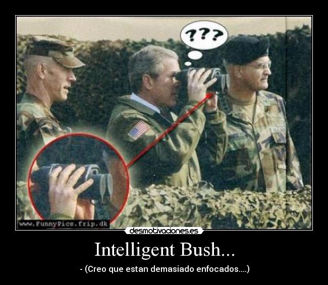 Intelligent Bush... - - (Creo que estan demasiado enfocados....)