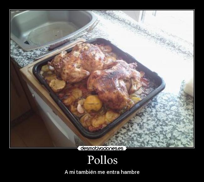 Pollos - A mi también me entra hambre