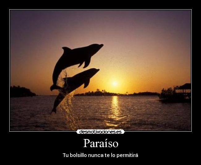 Paraíso - Tu bolsillo nunca te lo permitirá