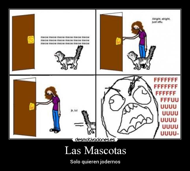 Las Mascotas - 