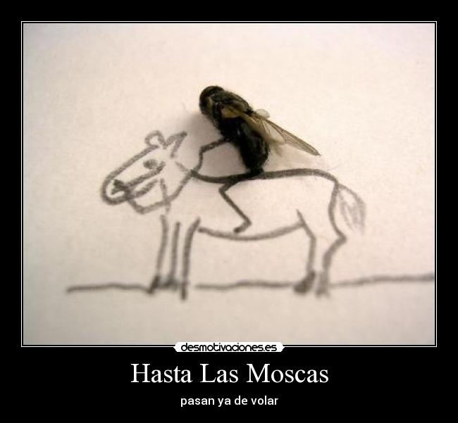 Hasta Las Moscas - 