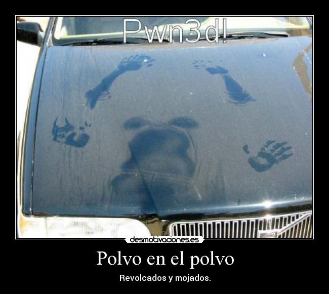 Polvo en el polvo -