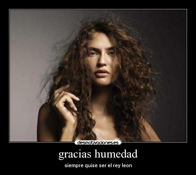 gracias humedad - 