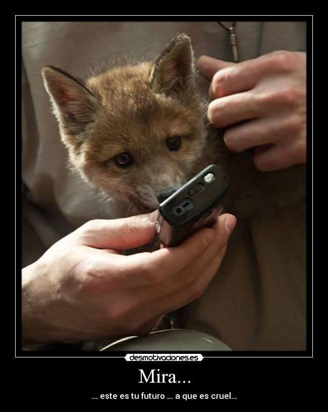 carteles desmotivaciones