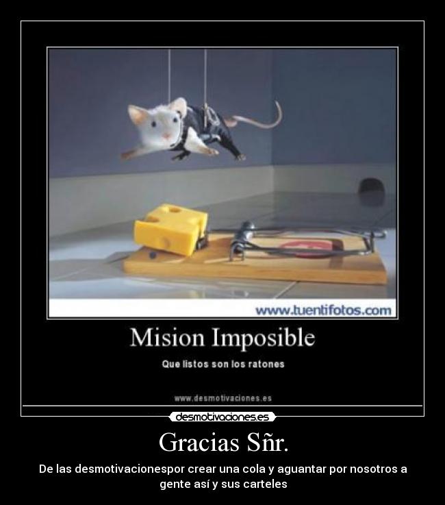 Gracias Sñr. - 