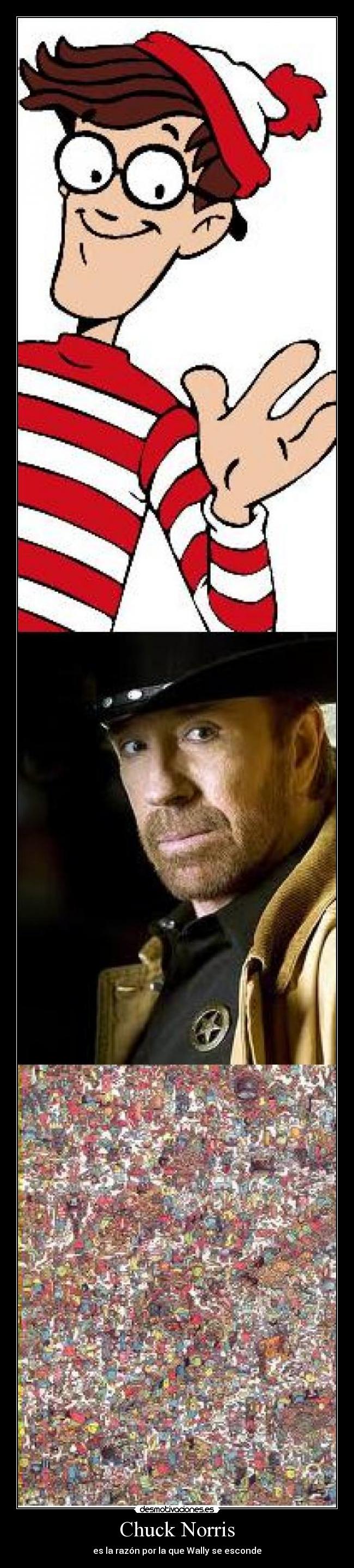 Chuck Norris - es la razón por la que Wally se esconde