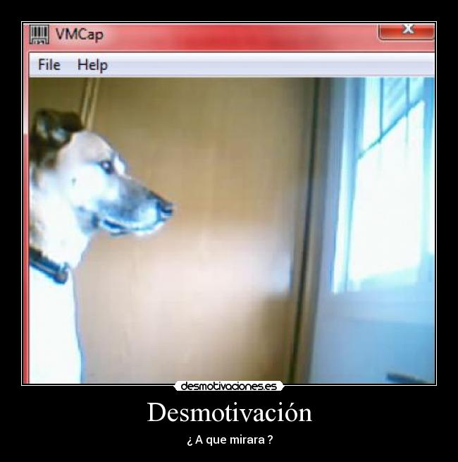 Desmotivación - ¿ A que mirara ?