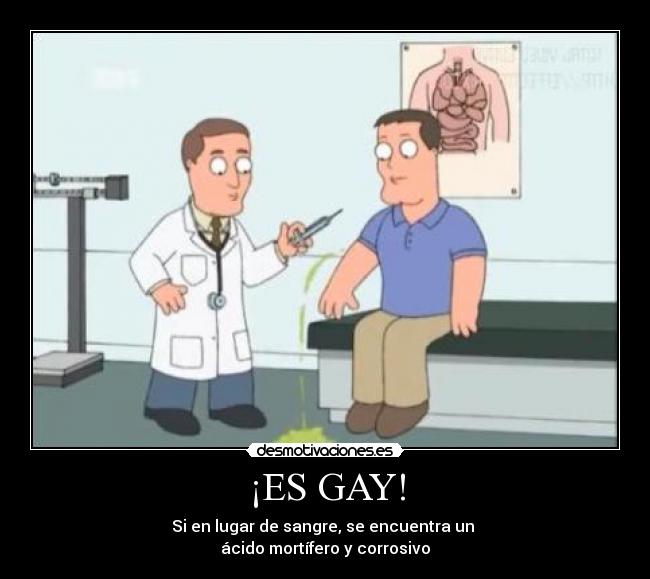 ¡ES GAY! -