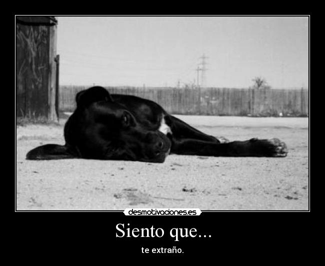 Siento que... - 