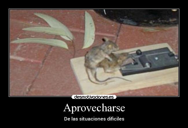 Aprovecharse - De las situaciones dificiles