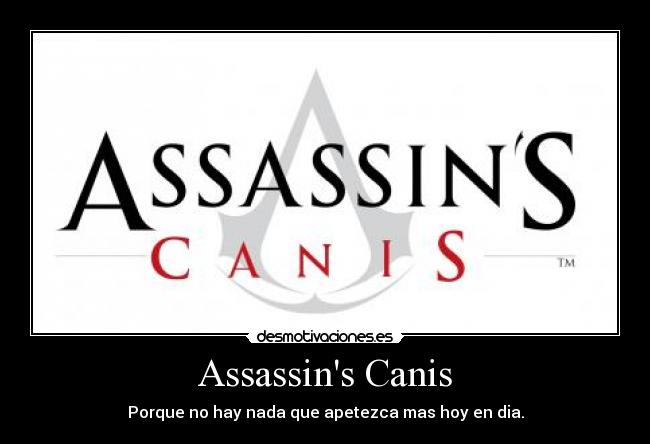 Assassins Canis - 