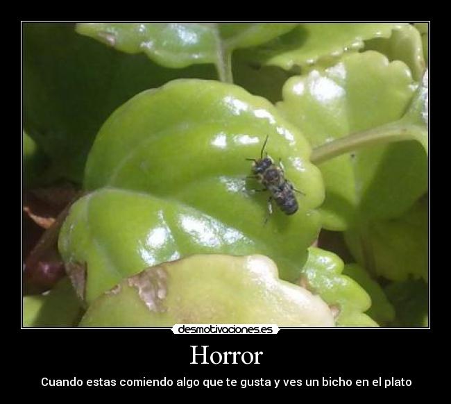 carteles desmotivaciones