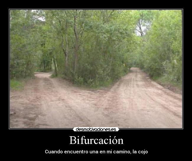 Bifurcación - Cuando encuentro una en mi camino, la cojo