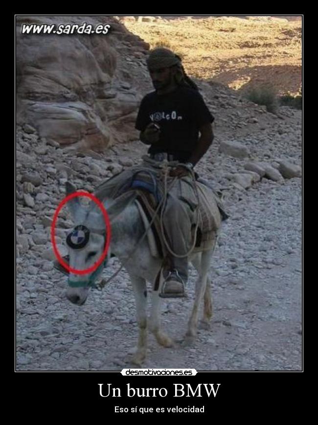 Un burro BMW - 