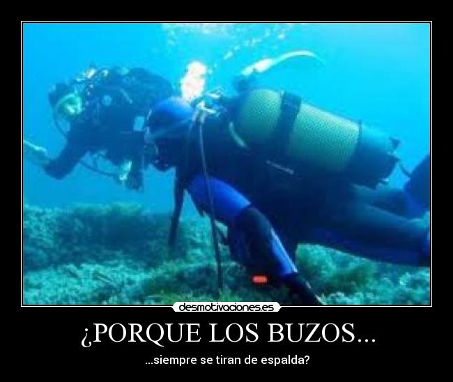 ¿PORQUE LOS BUZOS... -