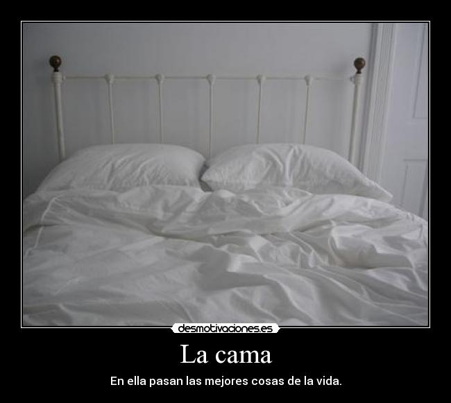 La cama - En ella pasan las mejores cosas de la vida.