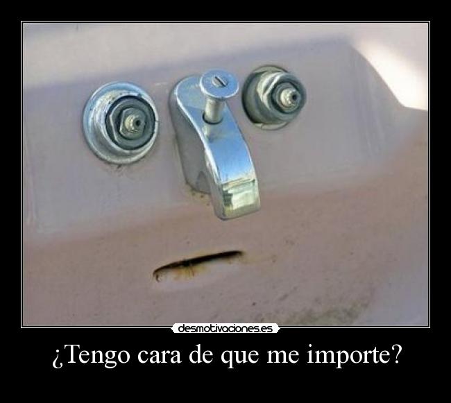 ¿Tengo cara de que me importe? -