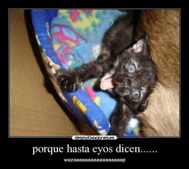 carteles desmotivaciones