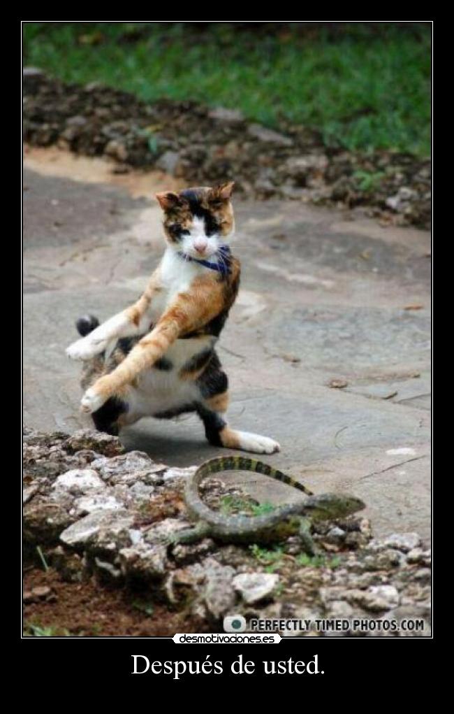 Después de usted. - 