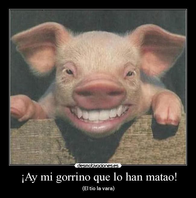 ¡Ay mi gorrino que lo han matao! - (El tio la vara)