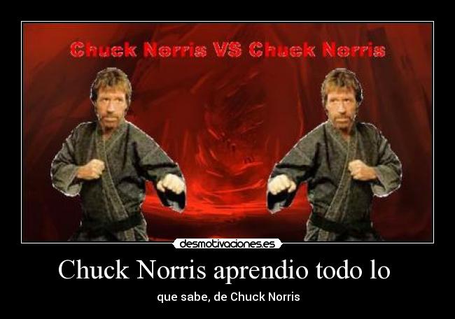 Chuck Norris aprendio todo lo -