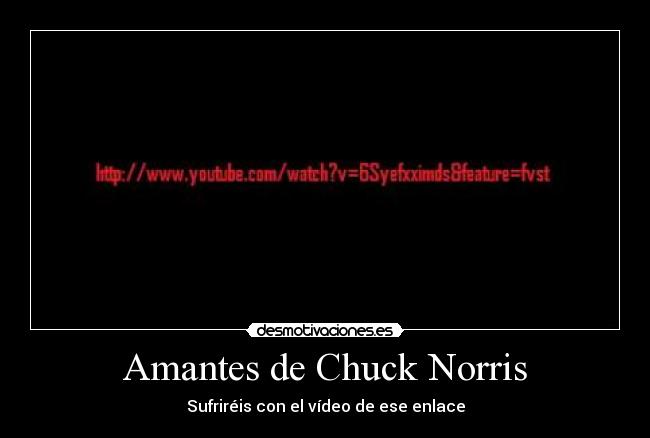 Amantes de Chuck Norris -