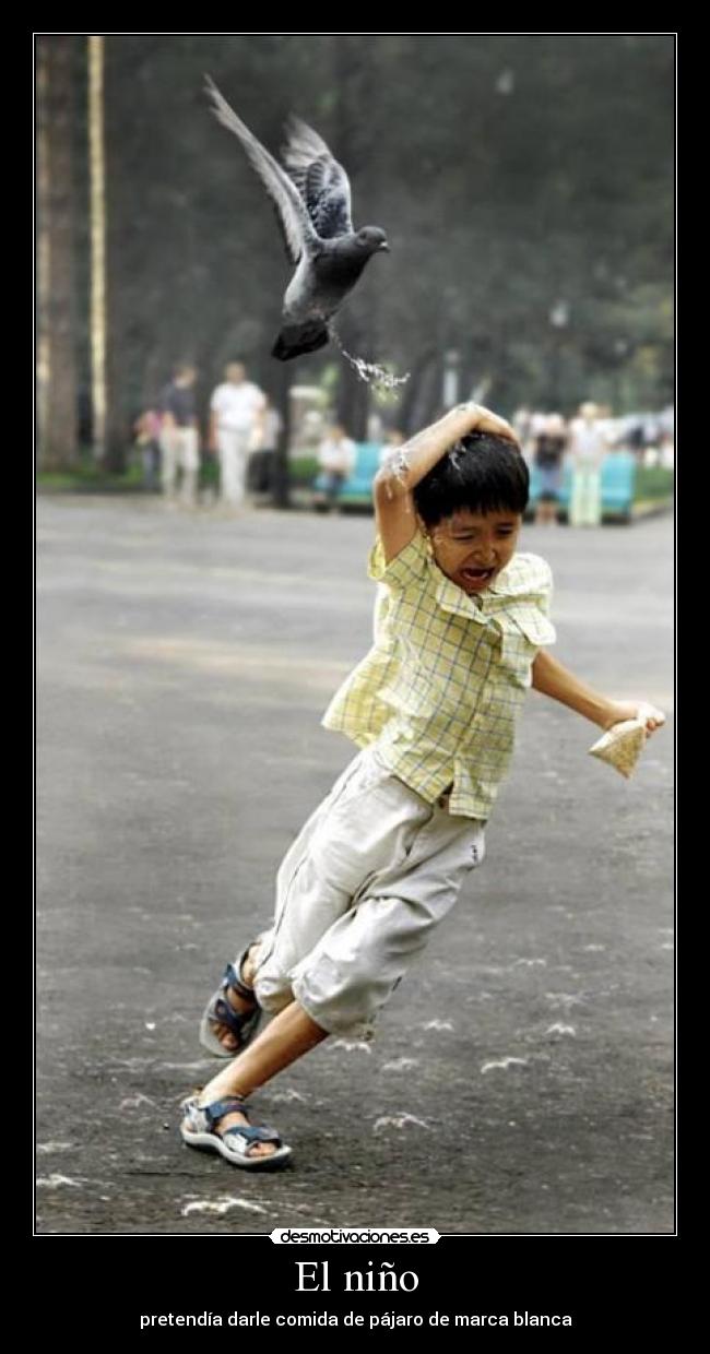 El niño - 