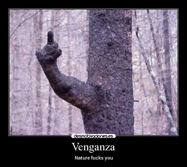 Venganza - 