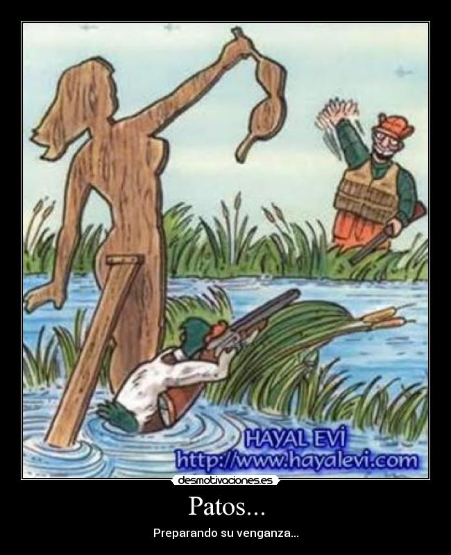Patos... - 