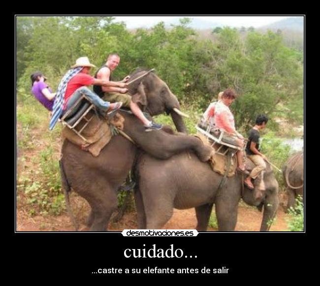 cuidado... - ...castre a su elefante antes de salir