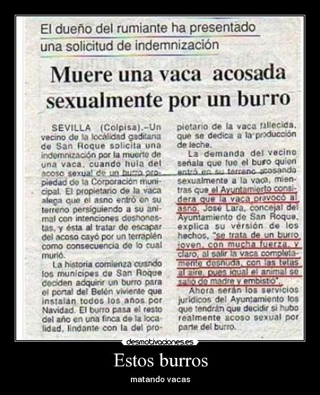 Estos burros -
